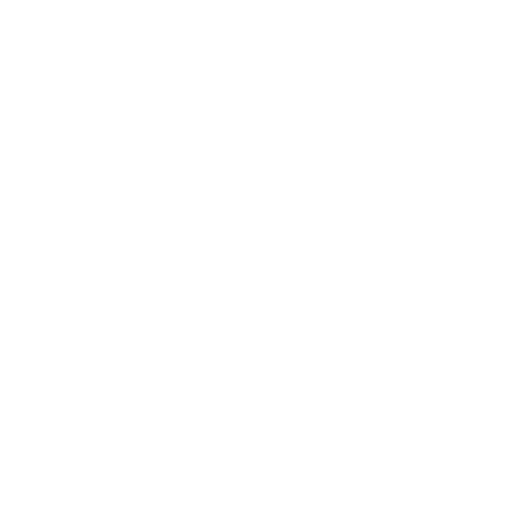 Logo Fal Services